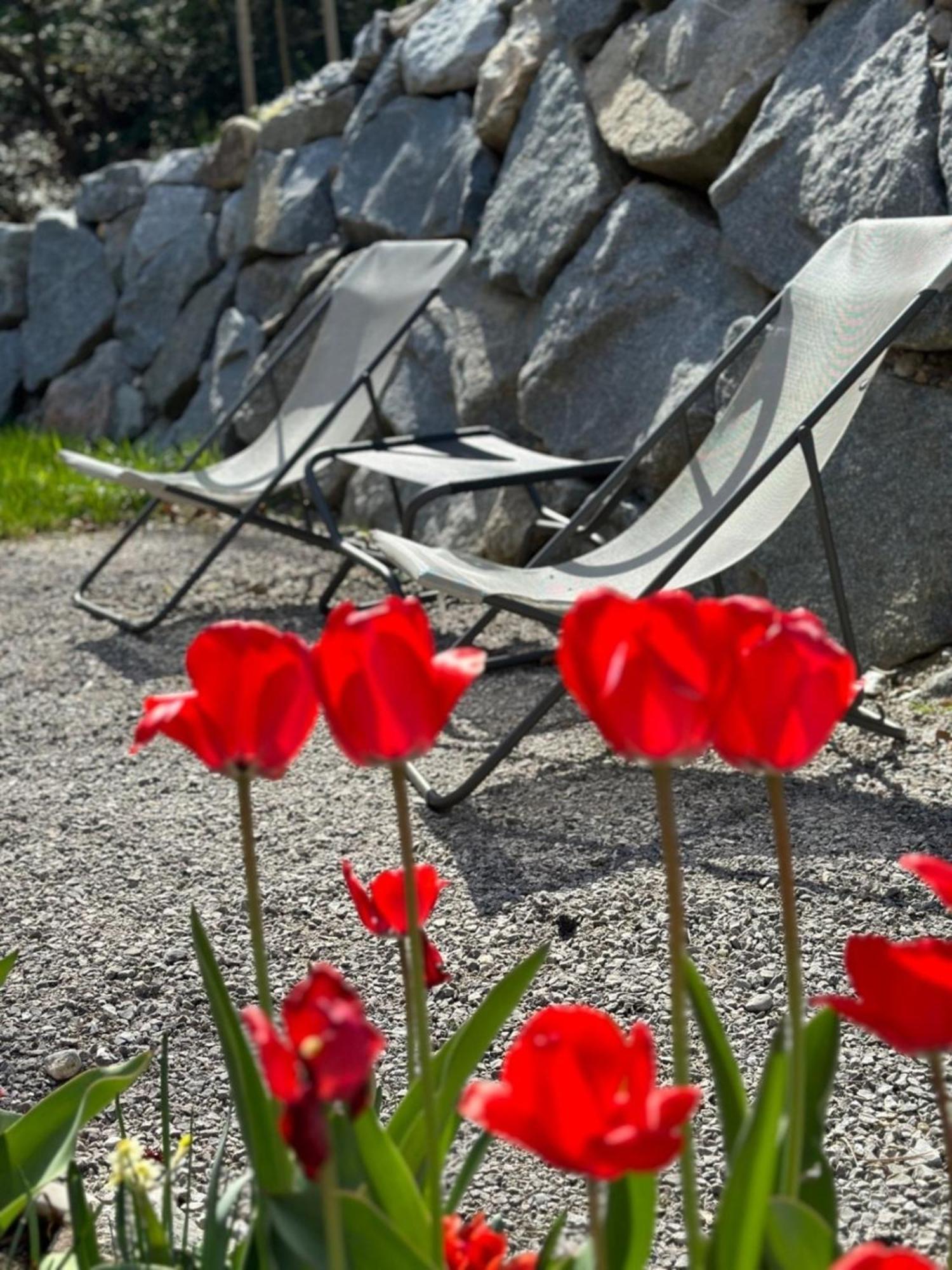 Chalet22 Beim Floesserhaus In Beuerberg Eurasburg المظهر الخارجي الصورة