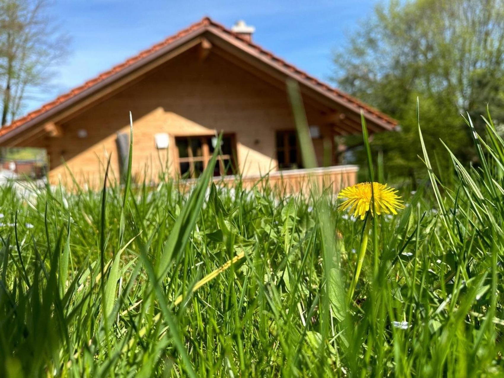 Chalet22 Beim Floesserhaus In Beuerberg Eurasburg المظهر الخارجي الصورة